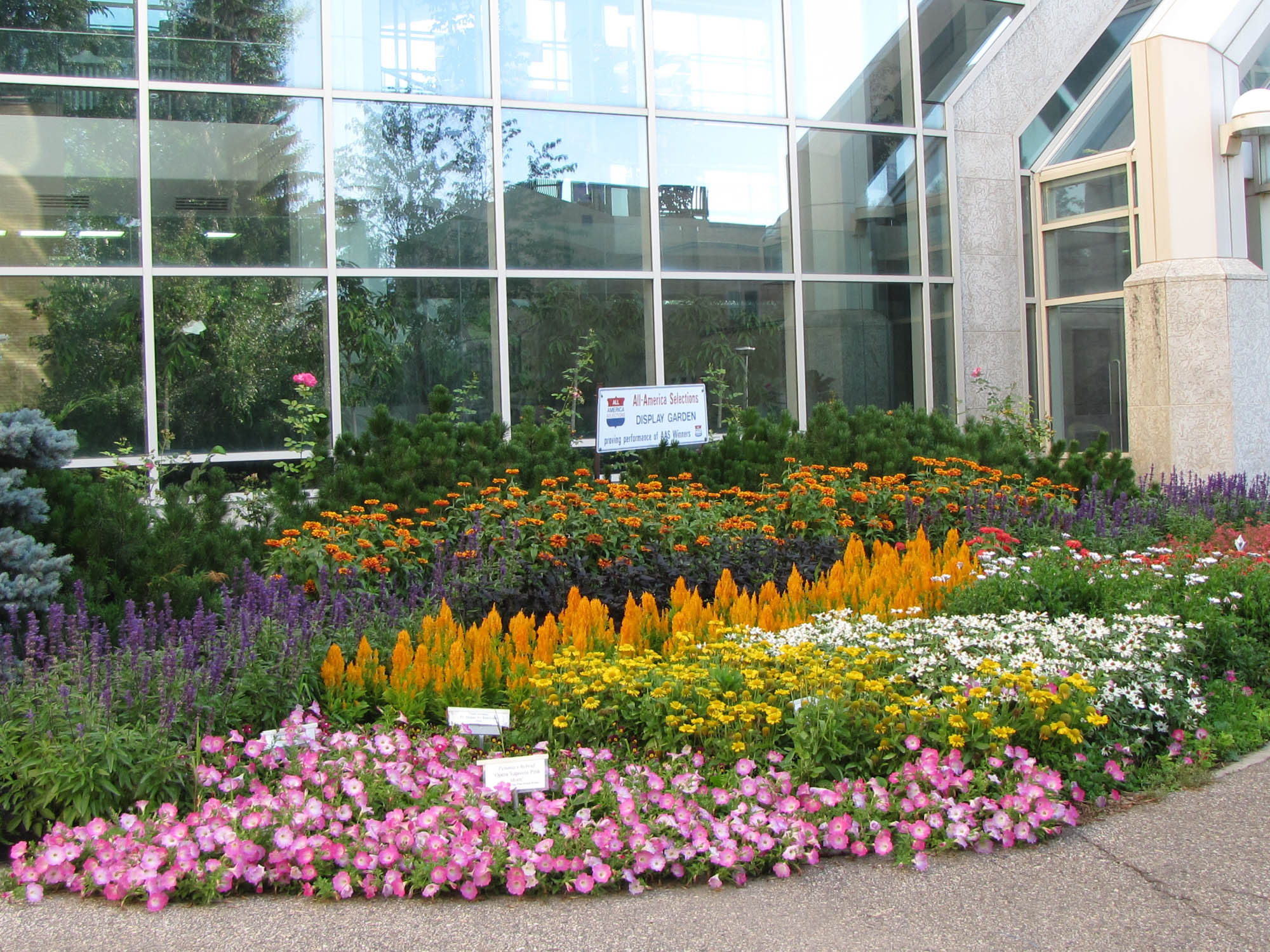 Colourful garden bed with flowers that are pink, white, orange, purple, and red
